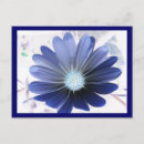 Recherche de osteospermum cartes postales Floral