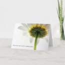 Recherche de amant de fleur Marguerite