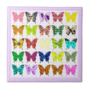 Recherche de papillon carreaux Cru