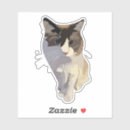 Recherche de ragdoll autocollants Amoureux des chats