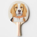 Recherche de original raquettes ping pong Pour tous