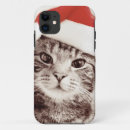 Recherche de foyer coques Animaux domestiques