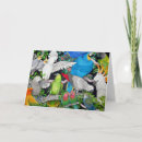 Recherche de conures vœux cartes Pour tous