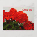 Recherche de géranium rouge cartes postales Floral