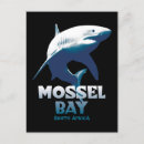 Recherche de requin blanc cartes postales Plongée