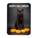 Recherche de chat noir de halloween magnets Félin