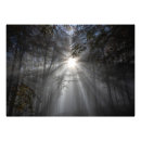 Recherche de brume art Arbre