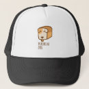 Recherche de pur casquettes Drôle