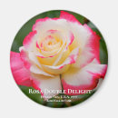 Recherche de fleur sale magnets Pour tous