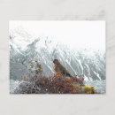Recherche de kea cartes postales Travel