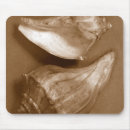 Recherche de coquilles tapis souris Côtier