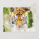 Recherche de tigres cartes postales Faune