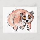 Recherche de lent cartes postales Loris