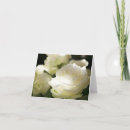 Recherche de pureté vœux cartes Rose