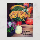 Recherche de citrouille halloween cartes postales Chute