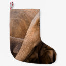 Recherche de elephants chaussette de noël Indien
