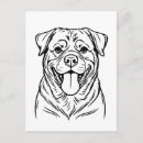 Recherche de braque cartes postales Animal