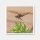 Recherche de dragonfly serviettes Bogue