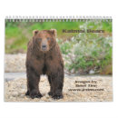 Recherche de ours gris bureau fournitures L'alaska