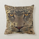 Recherche de de guépard coussins Zoo