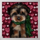 Recherche de noël de terrier posters Yorkie poo