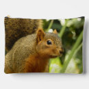 Recherche de écureuil accessoires Faune