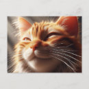 Recherche de glorieux cartes postales Orange