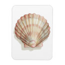 Recherche de coquillage magnets Océan