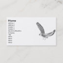 Recherche de hibou cartes visite Nature