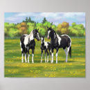 Recherche de poulain posters Quart de cheval