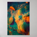 Recherche de image de plage posters Coquillages