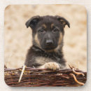 Recherche de allemand dessous de verres Chiot