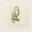 Recherche de amant de hibou Observateur d'oiseau