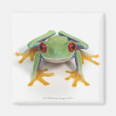 Recherche de humour de grenouille magnets Animal