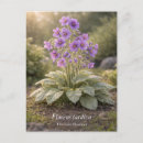 Recherche de patience cartes postales Encouragement