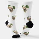 Recherche de labrador slippers Pour tous