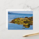 Recherche de galets cartes postales Eau