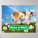 Recherche de funny dog posters Pet