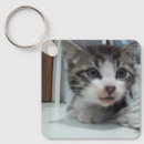 Recherche de canapé porteclés Chat