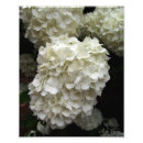 Recherche de boule de neige posters Arbre