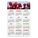 Recherche de photos de tulipe magnets Tulipes