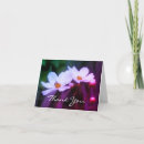 Recherche de cosmos vœux cartes Photographie