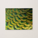 Recherche de paon coloré puzzles Nature