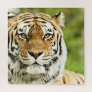 Recherche de sibérie puzzles Chat