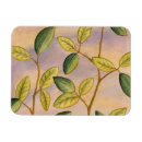 Recherche de feuille vert magnets Brun