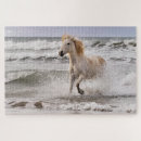 Recherche de étalon puzzles Superstock