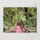Recherche de arbre photocartes Vacances