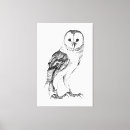Recherche de dessin hibou toiles Animal