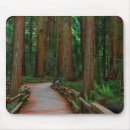 Recherche de anna tapis souris Usa