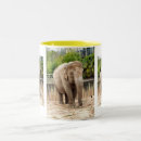 Recherche de indien tasses Nature